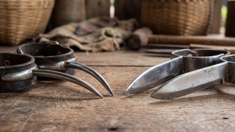 Các loại cựa gà sử dụng trong trận đấu tại SV388