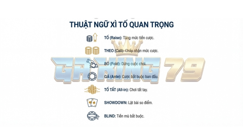 Các thuật ngữ Xì Tố quan trọng