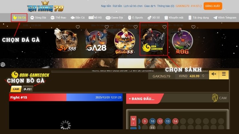 Cách vào bồ CAM & PS1