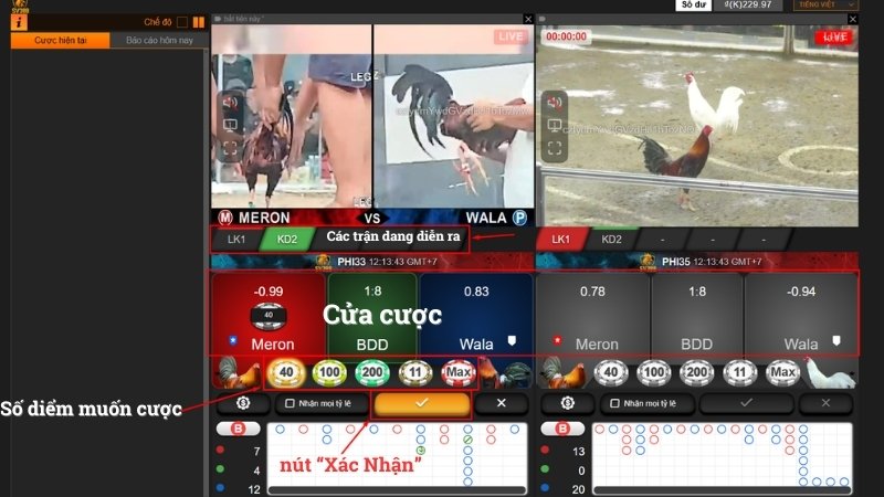 Cách đặt cược từng kèo chi tiết