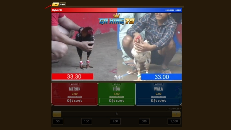 Sảnh “CAM” đá gà cựa sắt CPC4 - CPC5