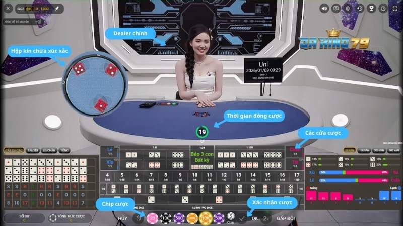 Cach dat cuoc va theo doi ket qua Cách đặt cược và theo dõi kết quả