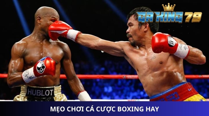 Mẹo chơi cá cược Boxing hay